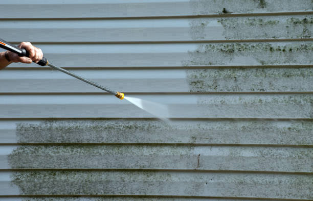 Best Sidewalk and Walkway Cleaning  in Opelika, AL